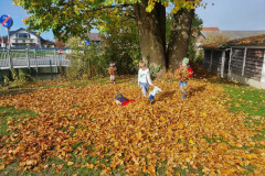 img-20241024-wa0010