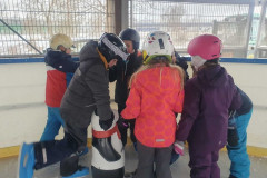 img-20250218-wa0008