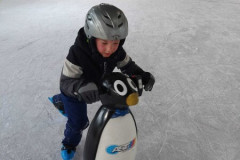 img-20250117-wa0005