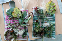 img_20231009_124036