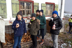 img_20221206_102512