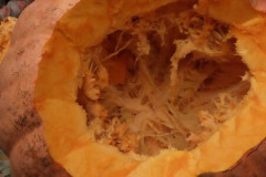 img_20221024_075821