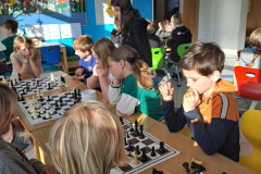 schach