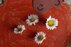 img_20240402_123223