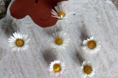 img_20240402_123229