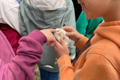 img-20240516-wa0012