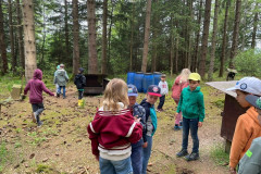 img-20240516-wa0056