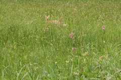 img_20240516_093353