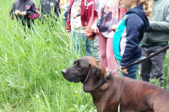 img_20240516_093518