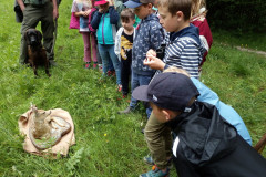 img_20240516_094751