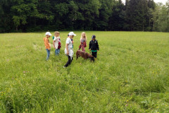 img_20240516_110205