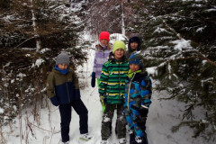 wald_2.4.kl