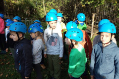 img_20241017_092923