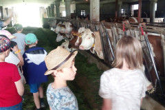 img_20240620_100543