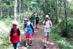 img_20240620_114803