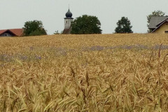 img_20240620_120925