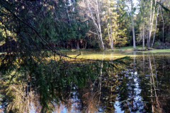 img_20221018_091744