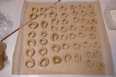IMG_20241211_092807647
