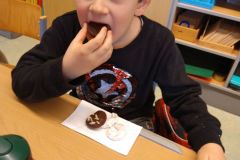 IMG_20241211_110045299